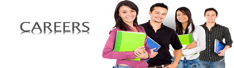 Rabindranath World School Career